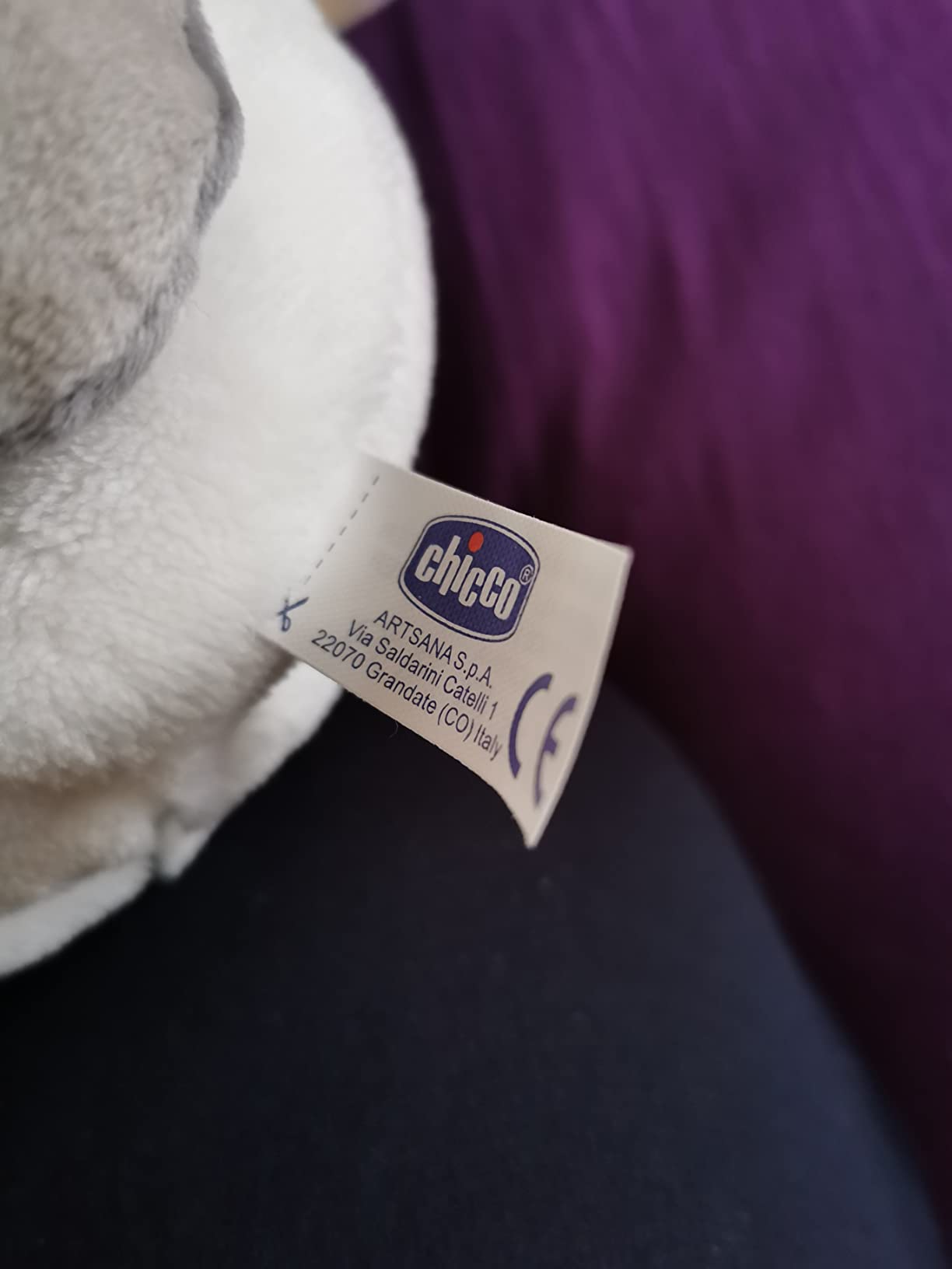 Süßer 2-in-1 Teddy