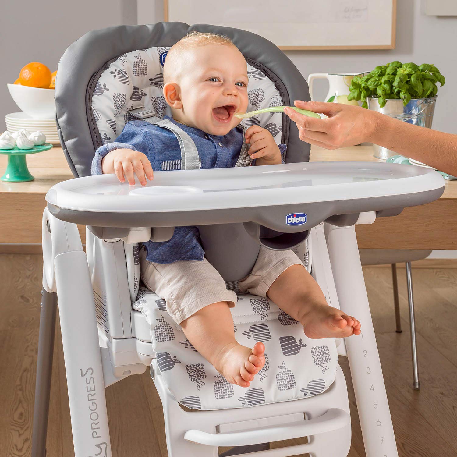chicco-polly-progres5-verstellbarer-hochstuhl-ab-geburt-bis-3-jahre-15-kg-5-in-1 image 2