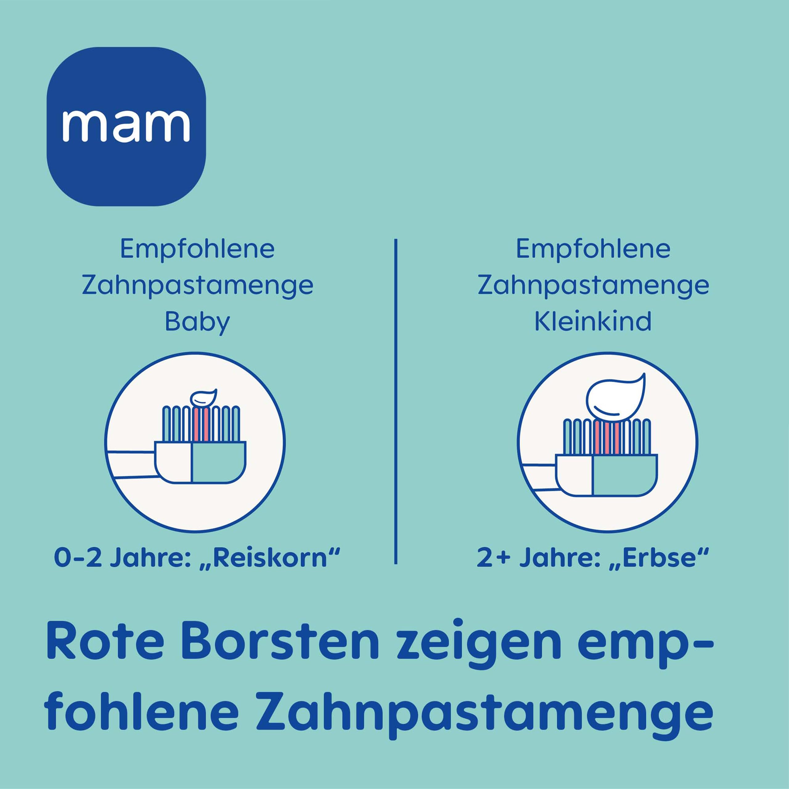 mam-training-brush-babyzahnb-rste-ab-5-monate-t-rkis image 5