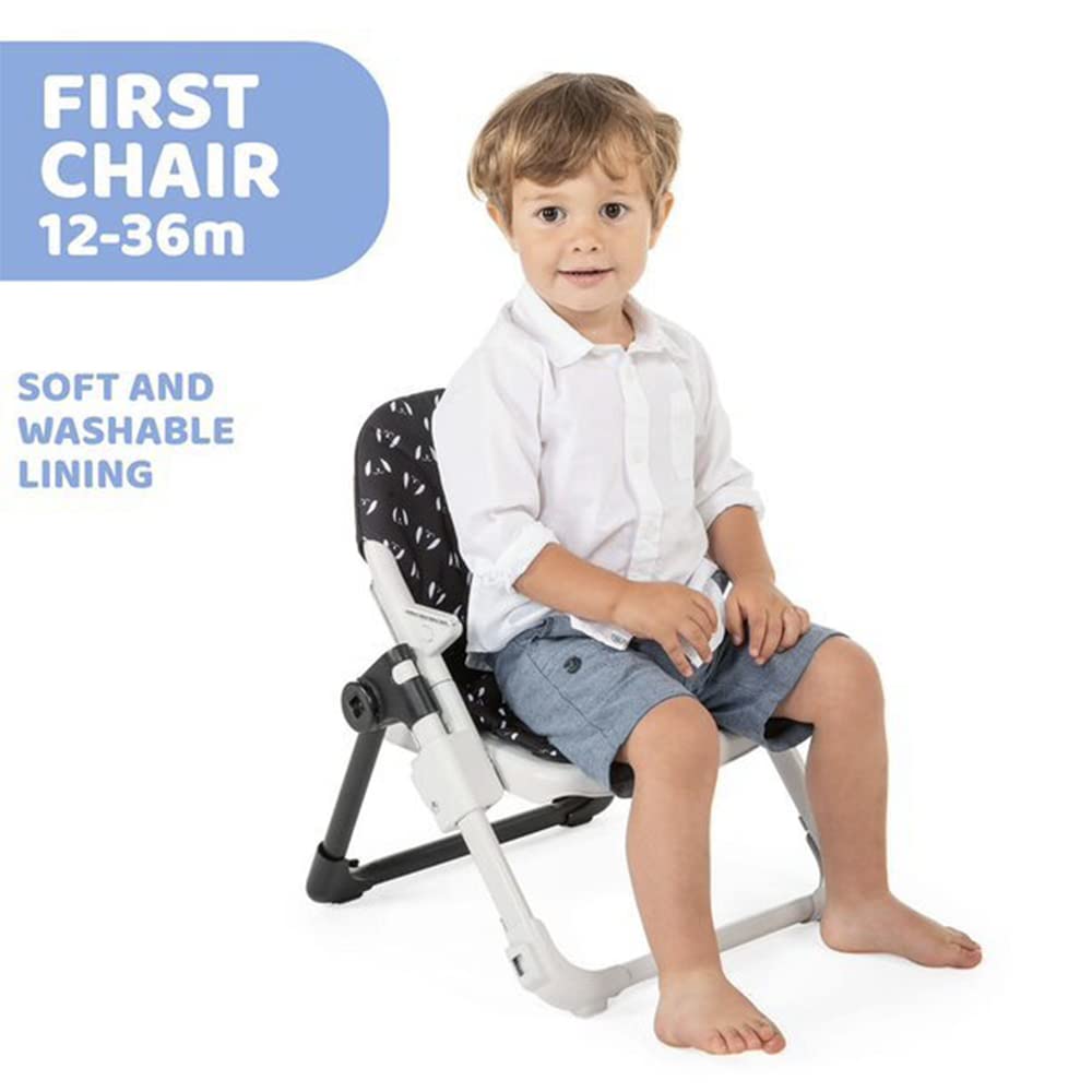 chicco-chairy-sitzerh-hung-mitwachsender-tischsitz-ab-6-monaten-bis-36-monate-um image 4
