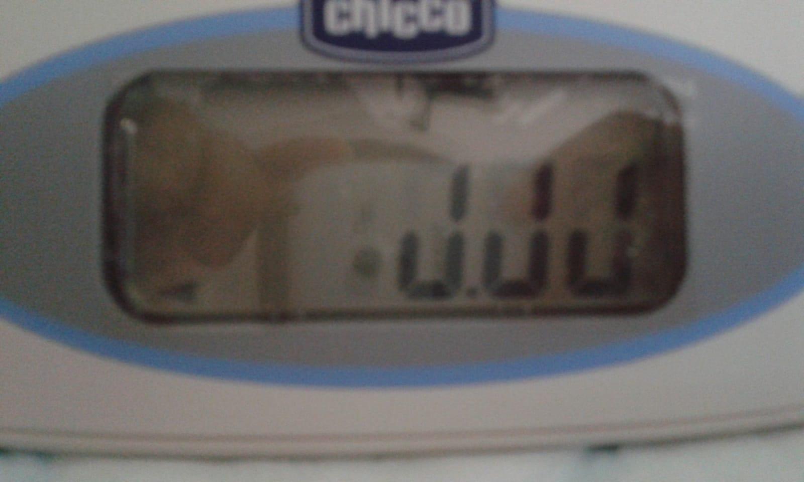Gute Waage, aber…