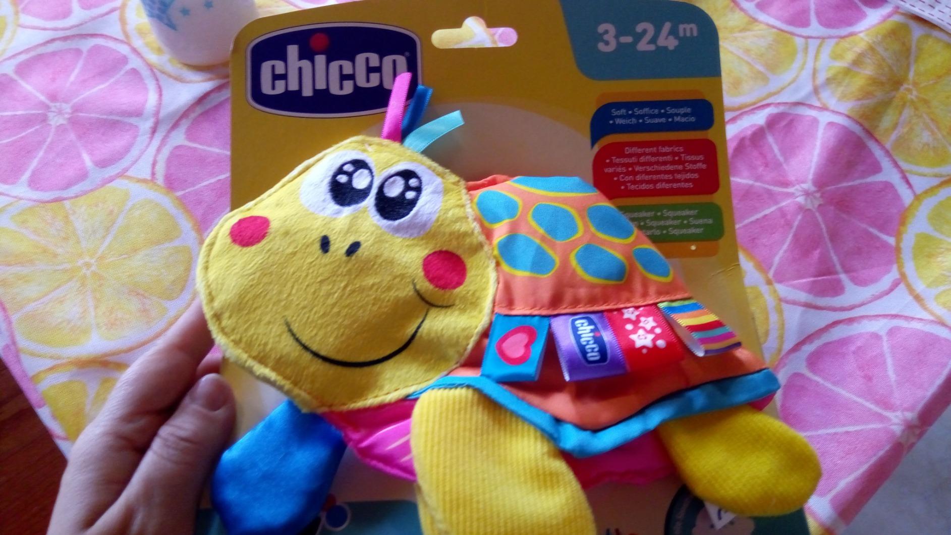 Tolle Schildkröte